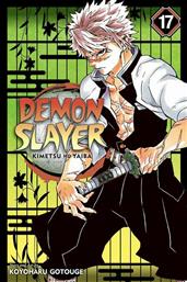 Demon Slayer, Kimetsu no Yaiba, Vol. 17 από το Public
