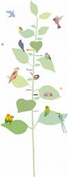 Mimi'lou Αυτοκόλλητο Αναστημόμετρο With Birds Πράσινο