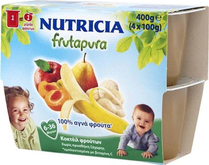 Nutricia Φρουτόκρεμα Frutapura 5 Φρούτων 6m+ 400gr
